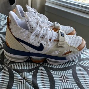 Nike LeBron 16 Air Trainer Medicine Ball